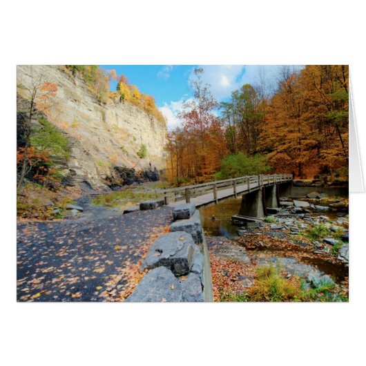 Taughannock Falls State Park Cards (Front Horizontal)