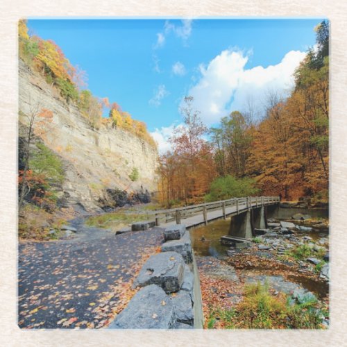 Taughannock Falls State Park Glass Coaster