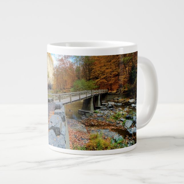 Taughannock Falls State Park Large Coffee Mug (Front Right)
