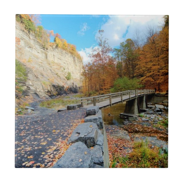Taughannock Falls State Park Tile (Front)