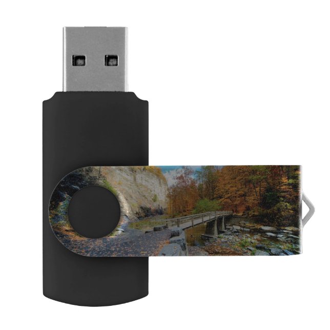 Taughannock Falls State Park USB Flash Drive (Opened)