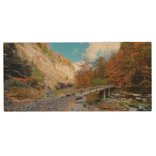 Taughannock Falls State Park Wood Flash Drive