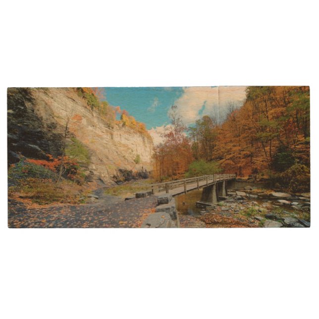 Taughannock Falls State Park Wood Flash Drive (Front)