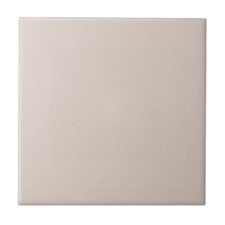 Taupe Sandstone Print Ceramic Tile