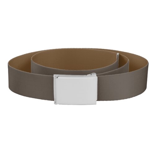 Taupe Solid Color Belt