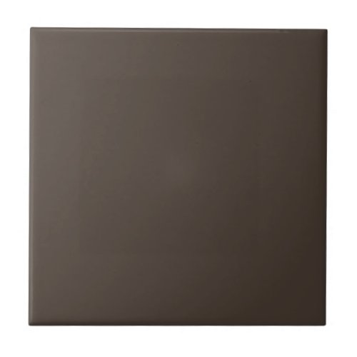 Taupe Solid Color Ceramic Tile
