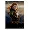 TAURIEL™ Character Poster 2