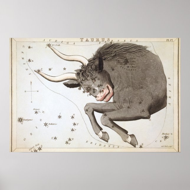 Taurus Astrological Drawing Poster (Front)