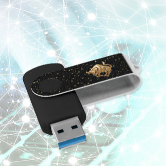 Taurus Astrology 2 Flash Drive