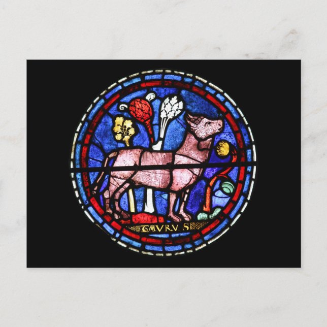 Taurus Astrology Stained Glass Windows Postcard (Front)