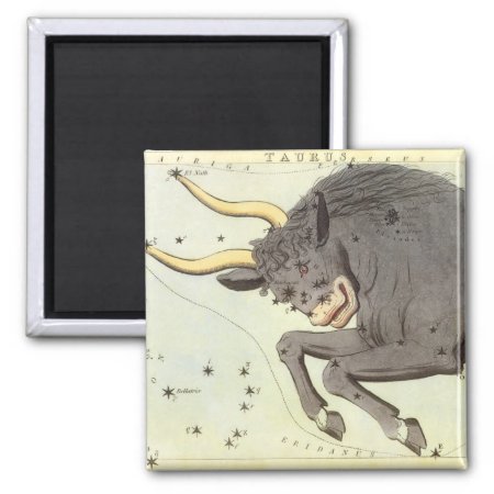 Taurus Bull, Vintage Constellation Urania's Mirror Magnet