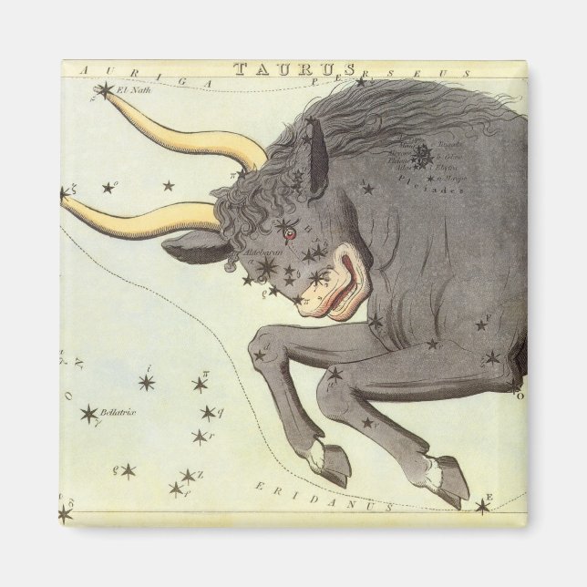 Taurus Bull, Vintage Constellation Urania's Mirror Magnet (Front)