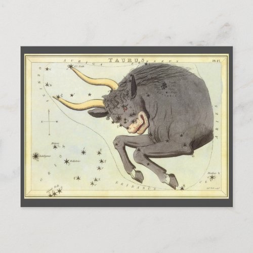 Taurus Bull Vintage Constellation Uranias Mirror Postcard