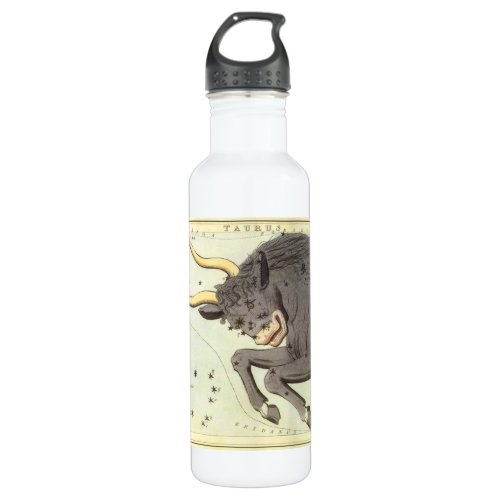 Taurus Bull Vintage Constellation Uranias Mirror Water Bottle