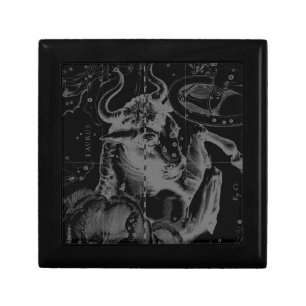Taurus Constellation Hevelius 1690 on Black Gift Box