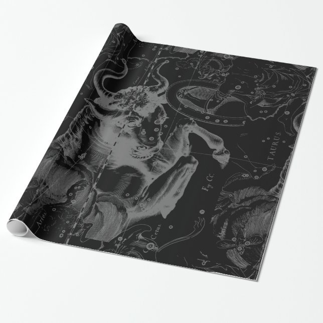Taurus Constellation Map Hevelius 1690 on Black Wrapping Paper (Unrolled)