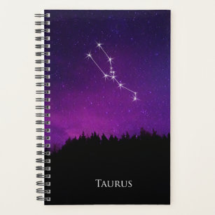 Taurus Constellation Night Sky Astrology Symbol Planner
