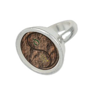 Taurus & Earth Dragon Ring
