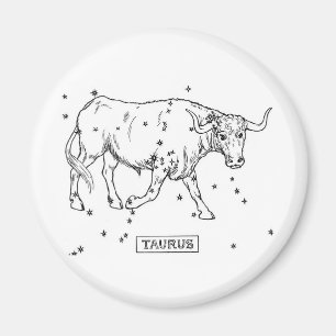 Taurus Magnet