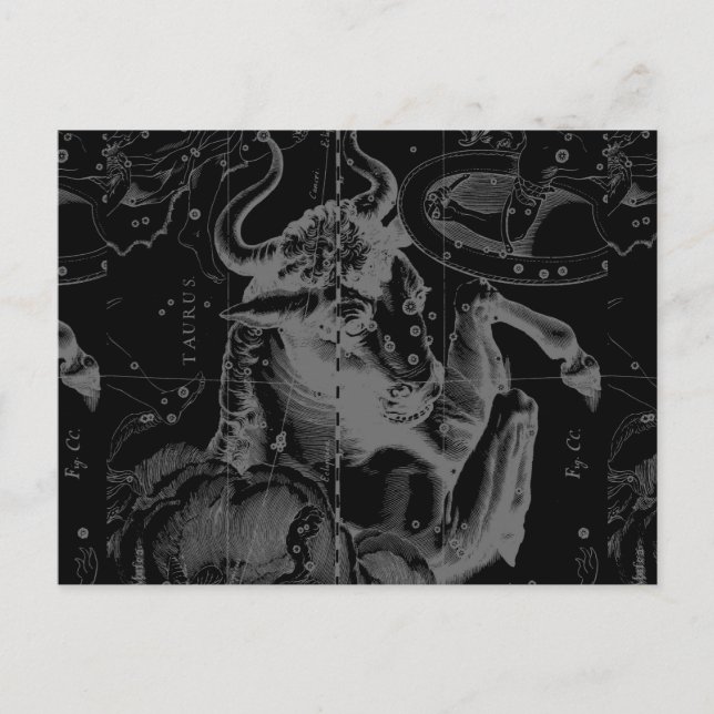 Taurus Sign Constellation Hevelius circa 1690 Postcard (Front)
