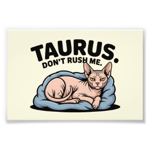 Taurus Sphynx Cat Zodiac Attitude Art Photo Print