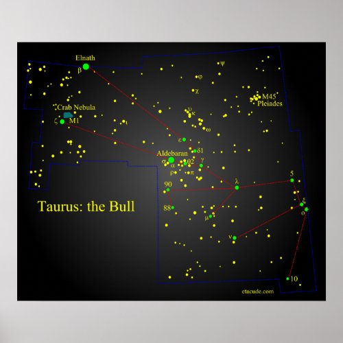 Taurus the Bull constellation Poster