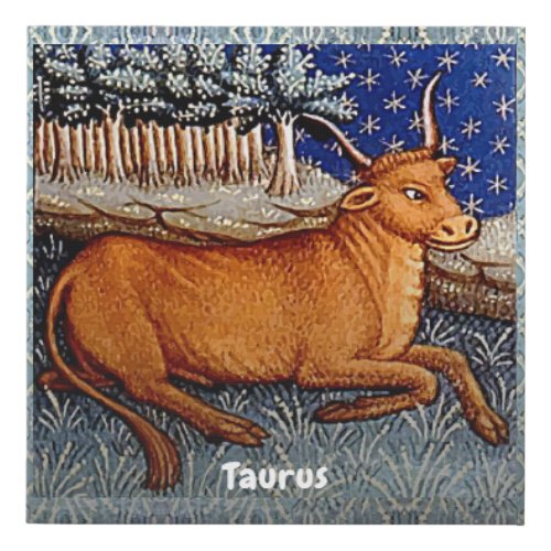 Taurus the Bull Zodiac Sign Birthday Party