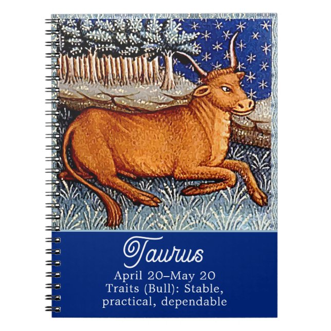 Taurus the Bull Zodiac Sign Birthday Party Notebook (Front)