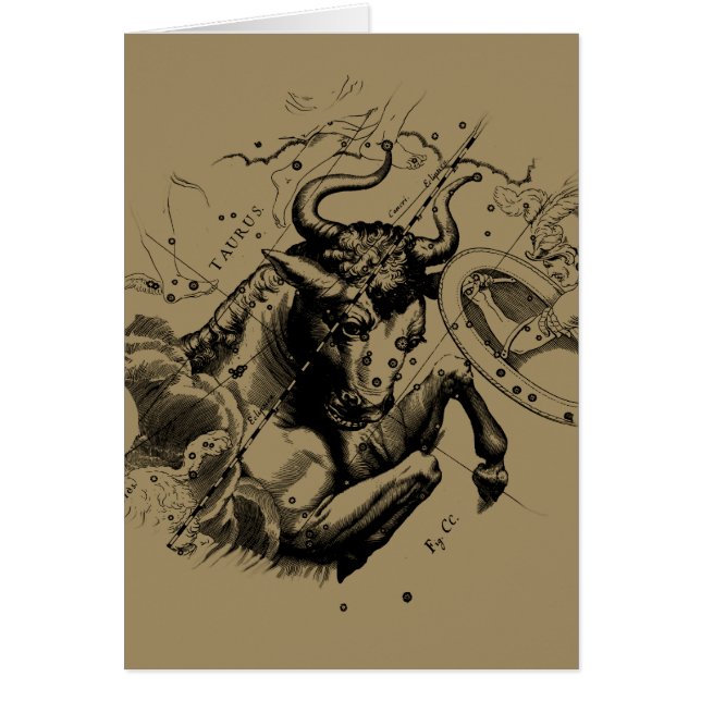 Taurus Zodiac Constellation Map Hevelius 1690 Cards (Front)