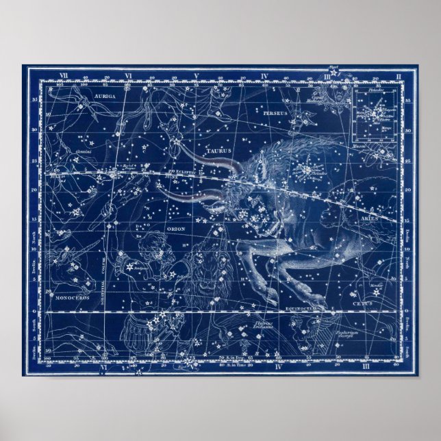 Taurus Zodiac Sign Vintage Illustration (Front)