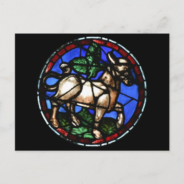 Taurus Zodiac Stained Glass Notre-Dame de Paris P Postcard (Front)