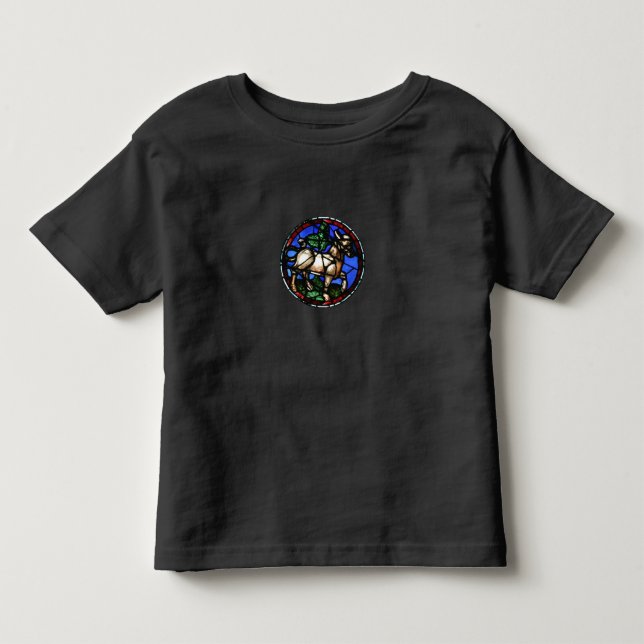 Taurus Zodiac Stained Glass Notre-Dame de Paris TT Toddler T-shirt (Front)