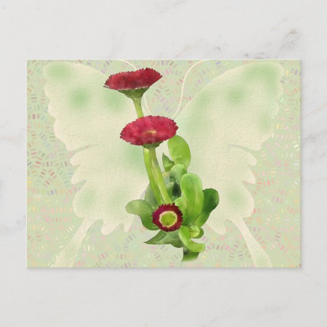 Tausendschön Postcard (Front)