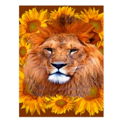 tawny African lion & yellow sunflowers gifts Postcard