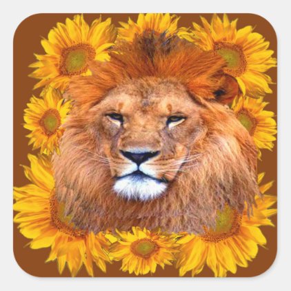 tawny African lion & yellow sunflowers gifts Square Sticker