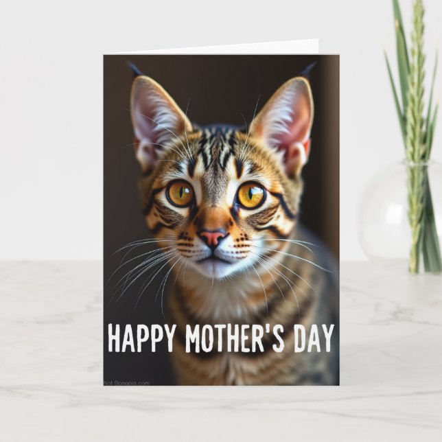 Tawny Cat Mothers Day Card (Front)