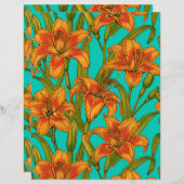 Tawny dailily flowers (Front/Back)