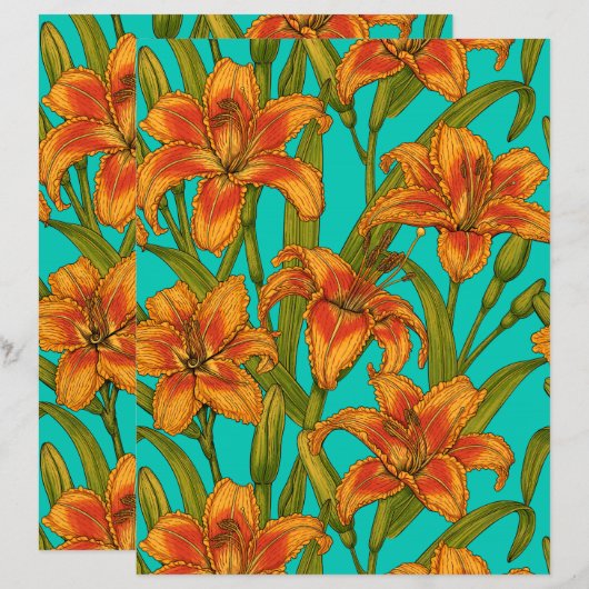 Tawny dailily flowers (Front/Back)