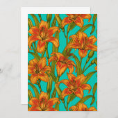 Tawny dailily flowers (Front/Back)