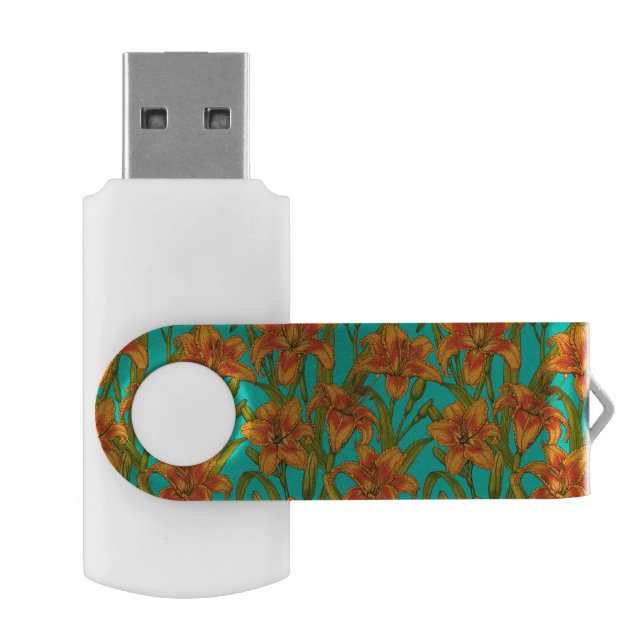 Tawny dailily flowers flash drive (Opened)