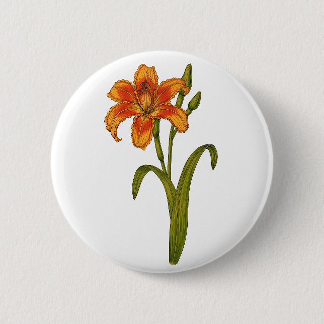Tawny daylily button (Front)