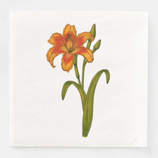 Tawny daylily paper dinner napkins (Front)
