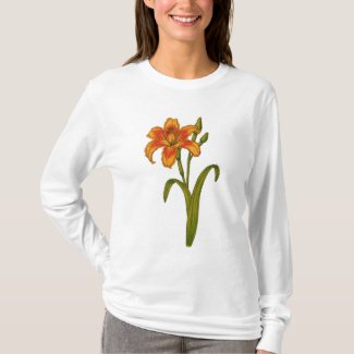 Tawny daylily T-Shirt