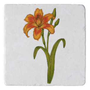 Tawny daylily trivet
