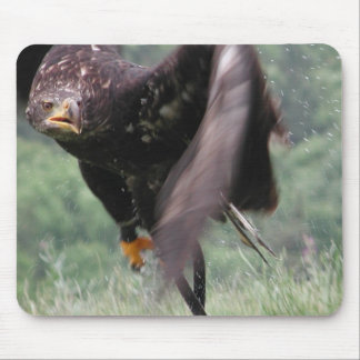 Tawny Eagle Mouse Pad