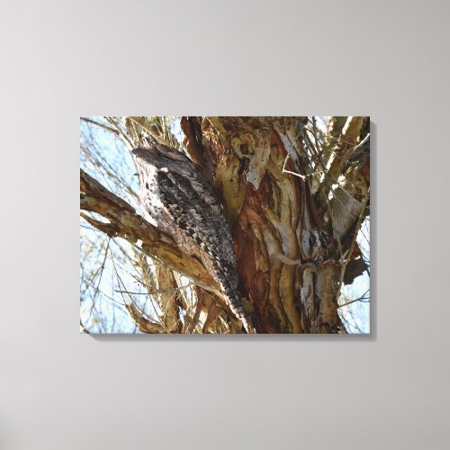 TAWNY FROGMOUTH OWL IN TREE QUEENSLAND AUSTRALIA CANVAS PRINT