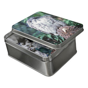 Tawny Frogmouth, Tasmania - Australia Jigsaw Puzzle