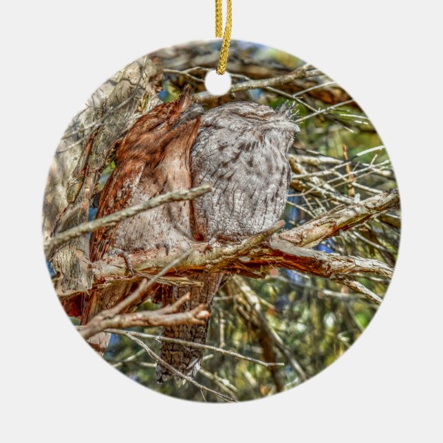 TAWNY FROGMOUTHS QUEENSLAND AUSTRALIA ART EFFECTS CERAMIC ORNAMENT (Front)