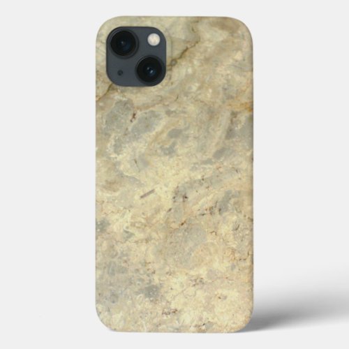 Tawny Gold Streaked marble stone finish iPhone 13 Case