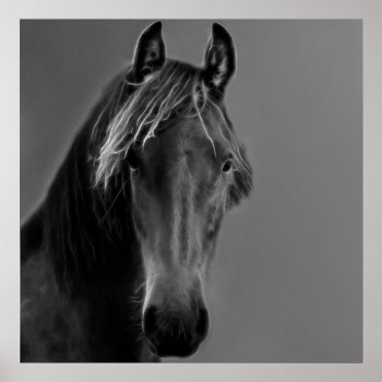 Tawny Horse Poster by laureenr at Zazzle